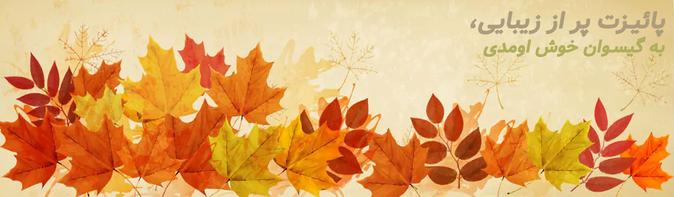 بنرپائیزی گیسوان